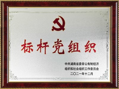 标杆党组织